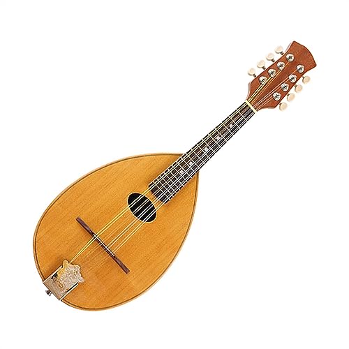 Amazon | マンドリン楽器 マンドリンギター 31 インチ手作りスプルース