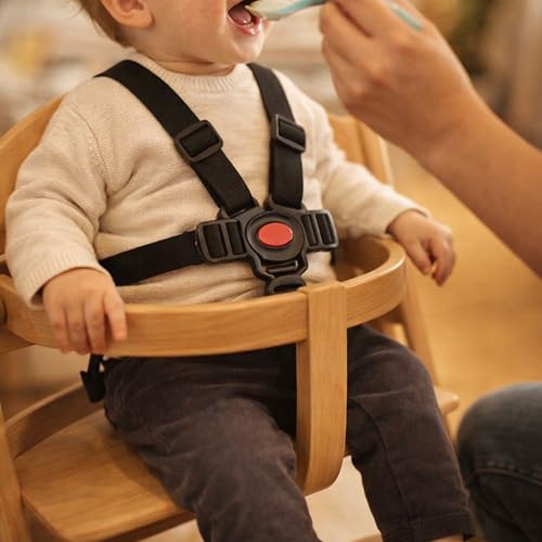 Hochstuhl Sicherheitsgurt, 1 Set, in Schwarz, kompatibel mit Hauck, Stokke Tripp Trapp, Roba, mitwachsender Kinderschutzgurt, 5 Punkt Gurtsystem Kinderhochstuhl, Kindersicherheitsgurt Stuhl Baby Tisch