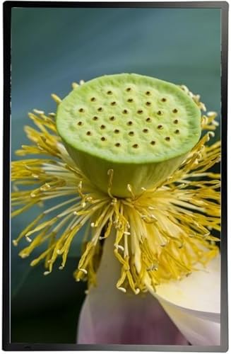 Ultra-Thin 23.6" Wall-Mounted Advertising Screen, HD Video Player for Menu & Promotion Display, Versatile Horizontal/Vertical Use, Ideal for Business Marketing