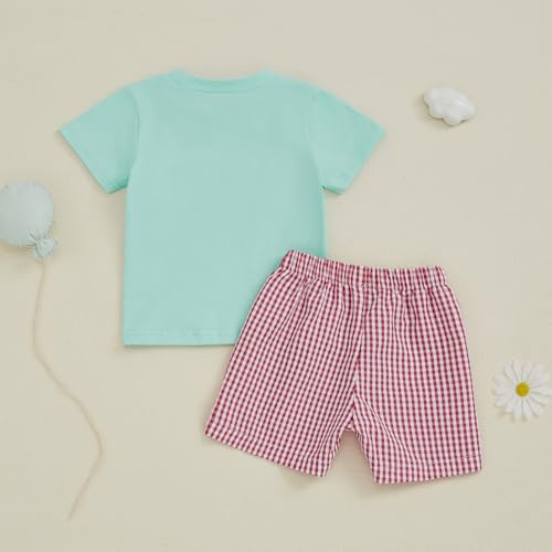 Image of Bonangber Toddler Baby Boy Summer Clothes Fruits Embroidery Short Sleeve T Shirt Plaid Shorts Sets Cute Boys Summer Outfits
