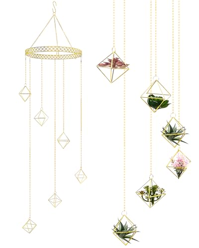Willinglong 6 Pcs Hanging Air Plant Holder, Gold Tillandsia Air Plant Holders Unique, Airplants Live Holders, Air Fern Macrame Display for Indoor Home Office Ceiling Wall Decor