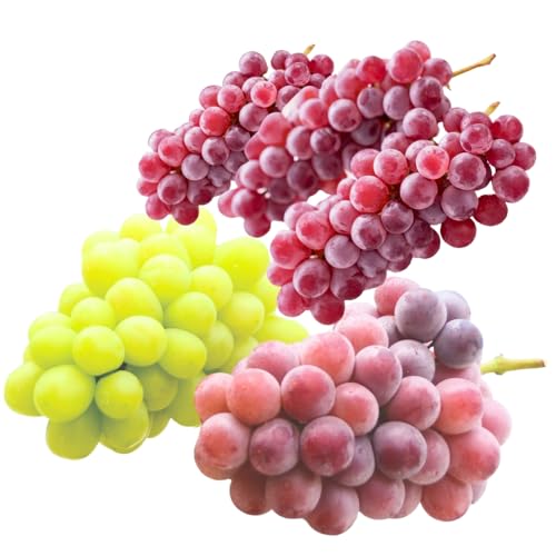 [2026年7月中旬〜順次発送]デラウエア3房とオリジナル品種おまかせ2種 約1.7kg 中村オリジナルぶどう園