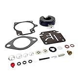 WINGOGO 396701 Carburetor Rebuild Kit w/Float Replaces Johnson Evinrude OMC Outboards 20-75 HP 25 28 30 35 40 45 50 55 60 65 70 398729 383317 383892 392061 390134 387856 388796 388524 384413 384412