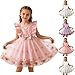 Girls Ruffle Sleeve A-Line Princess Dress, Cute Floral Embroidery Tulle Formal Birthday Party Dresses for 3-8 Years