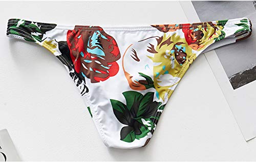 Mens Bikini Underwear Ice Silk Briefs3