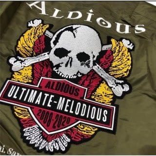 無期限活動休止 アルディアス 残1着オリーブ×ブラック ALDIOUS MA-1
