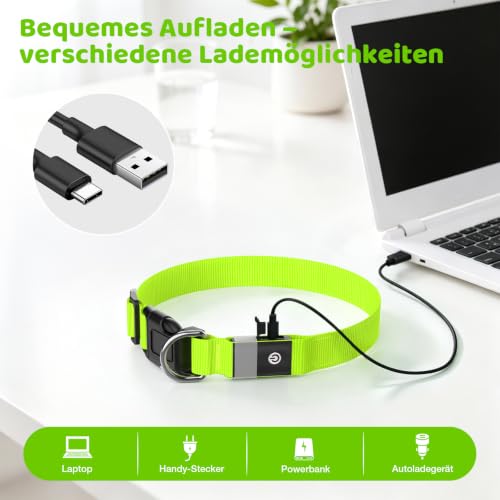 Leuchthalsband Hund, LED Hundehalsband Wiederaufladbar USB-C, Regendicht – Ansicht 5