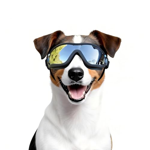 Billionchains Dog Goggles Medium Breed with UV Protection Windproof Anti-Fog Dog Sunglasses Clear View Dog Glasses for Walks/Car Rides/Motorcycle Riding/Bike Riding Medium