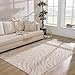 Hauteloom Manteca Contemporary Animal Zebra Print Runner Rug for Living Room Hallway, Kitchen - Distressed Faded Style - Cream, White, Beige, Gray - 2'7