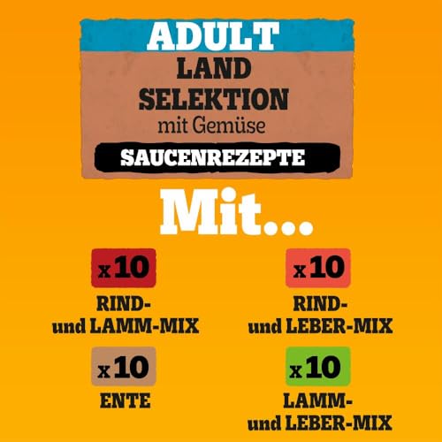 Pedigree DOGCARE Hundefutter Portionsbeutel Chunks in Soße Adult 40 x 100g