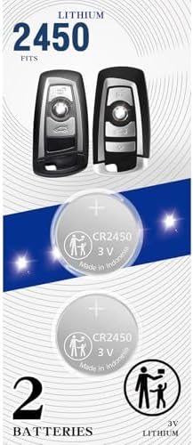 Amazon.com: Replacement for BMW (2009-2018)(2Pack) CR2450 Remote Smart ...