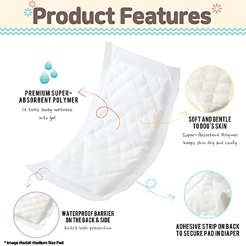PAWPANG Reusable Air Mesh Male Dog Wrap (1 Pack) with Disposable Dog Diaper Liners Booster Pads (10ct) | Washable Puppy Nappies Wrap | Pet Belly Band (Medium Wrap - Medium Pads, Blue Green)