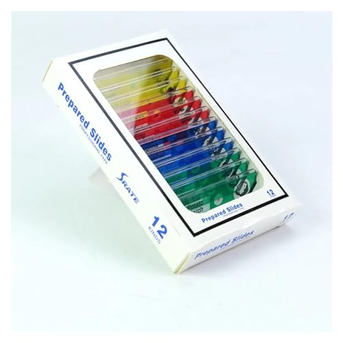 ANZT[Lbg 12 /vX`bNXChW{ XCh