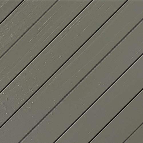 #1 Deck Wood Deck Paint and Sealer - Advanced Solid Color Deck Stain for Decks, Fences, Siding - 1 Gallon (Driftwood Gray)