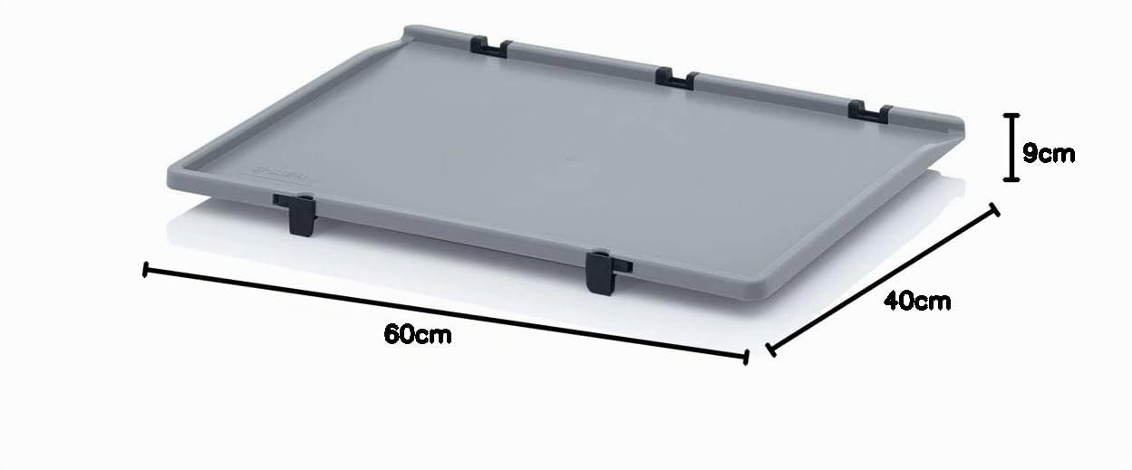 Auer Packaging Eurobehälter 60 x 40 x 9 cm mit Scharnierdeckel. Eurobox Koffer niedrige schmale kleine Plastikbox für Wohnmobil Lager Regal Garage Werkstatt Plastikkiste 60x40x9