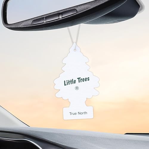 Image of Little Trees Air Fresheners, True North (Pack of 24)