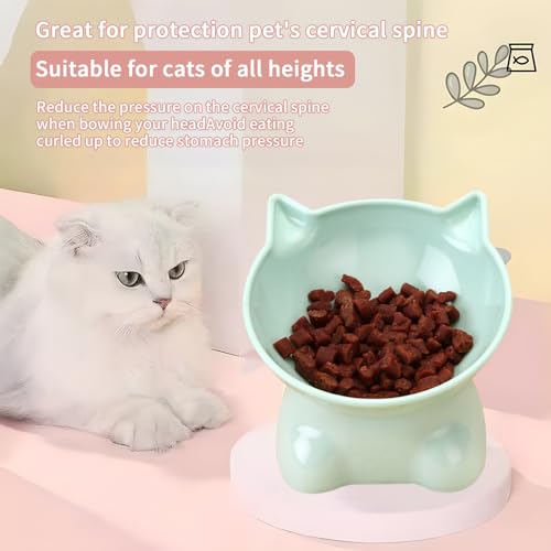 Katzennapf Erhöht Fressnapf Katze mit 15° Neigung Design,Futternapf Katze,Katzenfutternapf für Futter und Wasser,perfekt für Haustiere Katzen und Welpen(Grün, Einfarbig)