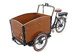 Dutch Style trishaw Electric Cargo Tricycle Trike for Carrying Cargo