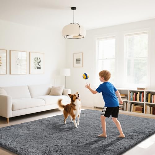 Fluffy Rug Shaggy Area Rug, Dark Grey 2x4 Area Rugs for Bedroom, Small Bedside Rug, Soft Fluffy Shaggy Entryway Throw Rugs for Living Room Bedroom Kids Room Home Decor