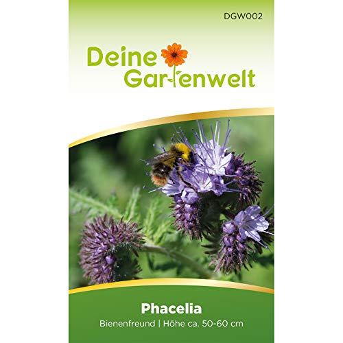 Phacelia Bienenfreund Samen - Phacelia tanacetifolia - Phaceliasamen - Blumensamen - Saatgut für 500 Pflanzen