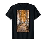 Golden foliage Nature walk