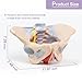 1:1 Life Size Human Female Pelvis Model with Pelvic Floor Muscles Perineal Model All in One Female Anatomy Model Skeleton for the teaching of physiology and hygiene in the teaching of anatomy schools
