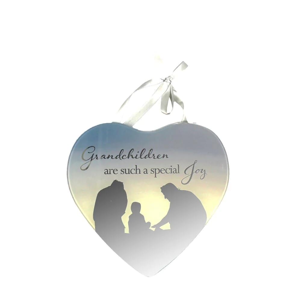 Juliana Grandchildren Are Such A Special Blessing Reflections From The Heart Mirrored Hanging Plaque