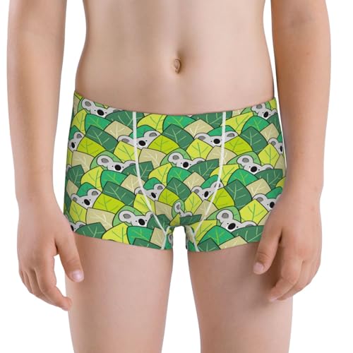 Boys' Cotton Boxer Brief Soft Underwear-Cartoon Koala Bear And Leaf