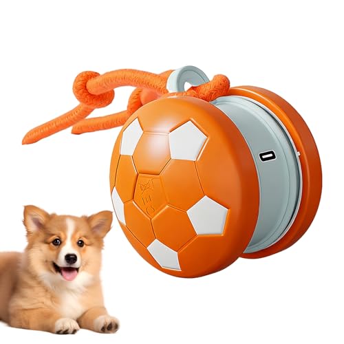 �L�p�������� �{�[��, �C���^���N�e�B�u�X�}�[�g�]����{�[��, �[�d�� �����L����炵 �����ۃ��[�v�t��, �����V�� �^���s�� �ދ����� ��{�\ �h��