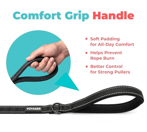 Image of Best Pet Supplies Voyager Reflective Dog Leash or Collar with Neoprene Handle, for Small, Medium, and Large Breed Puppies, Cute and Heavy Duty for Walking, Running and Training - Black (Leash), L