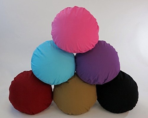 Dinosaurs Egg with 100% Cotton Washable Cover (Red)