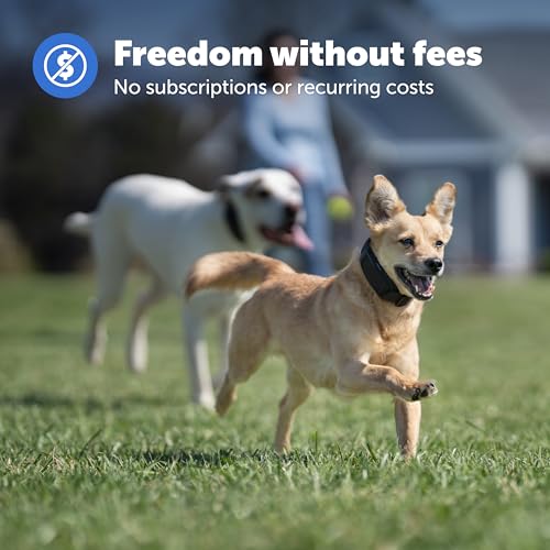 PetSafe Add-A-Dog Collar in Use Outdoors