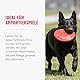 KONG Flyer - Langlebiges Outdoor Hundespielzeug - Wurfscheibe aus Naturkautschuk zum Apportieren - Für Mittelgroße/Große Hunde