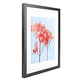 Aynoo 11x14 Picture Frame Display Pictures 8x10 Picture Frame with Mat or 11x14 Without Mat, Wood...