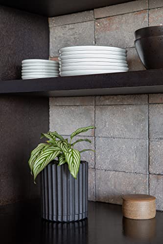 Image of Veradek Demi Series Demi 6 inch Planter w /Tray - Black, 2 Pack