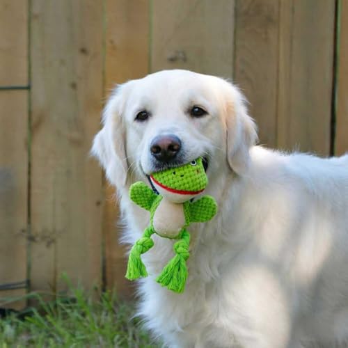 Juguete mordible de peluche TONYFY para perros pequeños miniatura 5