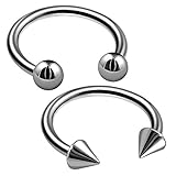 2pcs 16g Barbell Horseshoe Earrings Titanium G23 Snake Bite helix Septum Lip Circular Eyebrow Ring Cartilage B2CCR 10mm