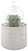 Produktbild Esschert Design Ziehglocke mit Betonsockel aus Beton und Glas, 15,8 x 15,8 x 26,8 cm
