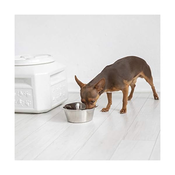 Gamma2-Vittles-Vault-Dog-Food-Storage-Container-Durable-Food-Safe-BPA-Free-Storage-Made-in-the-USA-with-Recycled-MaterialsHolds-up-to-15-pounds Dog Food Storage Container