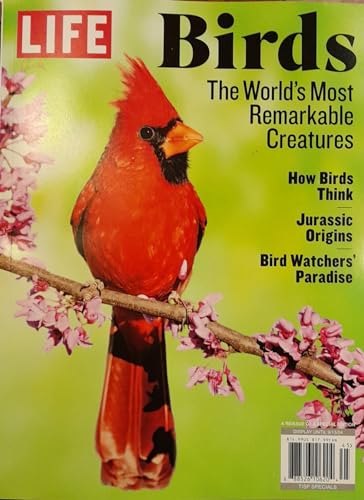 Life Magazine Issue 45 How Birds Think