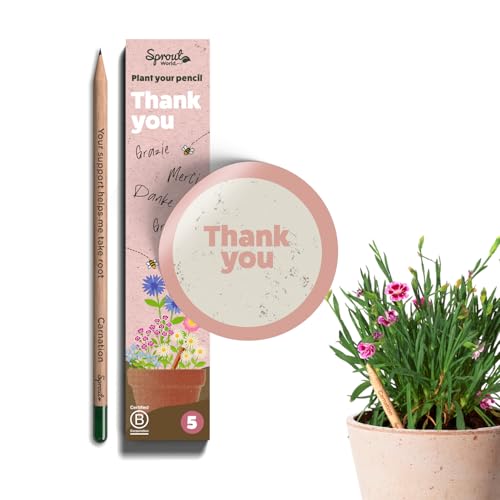 SproutWorld Plantable Pencils - Thank You Edition (Pack of 5)