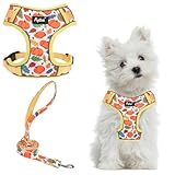 PUPTECK Small Dog Harness and Leash Set, No Pull Adjustable Puppy Cat Harness, Reflective Soft Mesh Pet Vest Small Sized