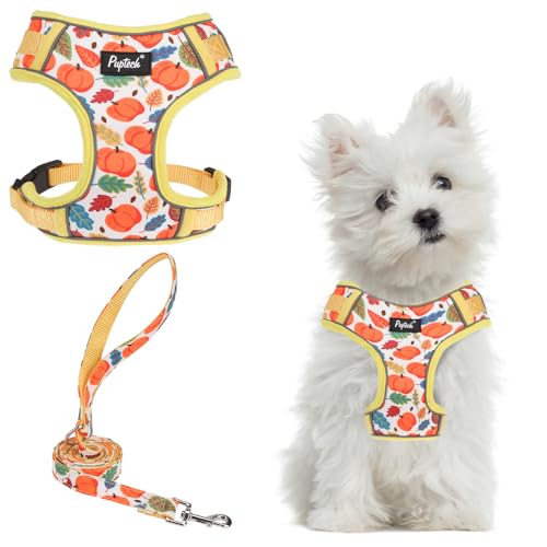 PUPTECK Small Dog Harness and Leash Set, No Pull Adjustable Puppy Cat Harness, Reflective Soft Mesh Pet Vest Small Sized