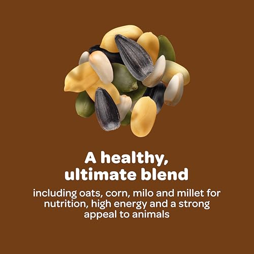 Kaytee Ultimate Backyard Wildlife Food for Wild Squirrels, Rabbits, Chipmunks, and More, 8 Pounds - image 5