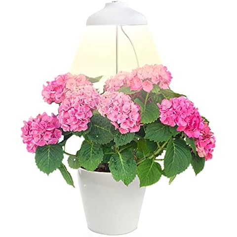 Lámpara LED de Crecimiento Zenakio para Plantas de Interior Cover