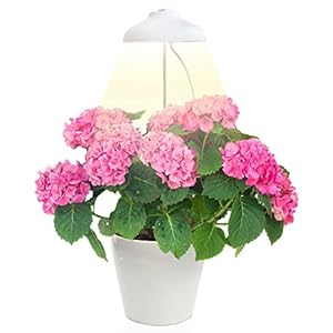 Kweek LED Licht Plant Lamp Zenakio – Verstelbare grootte, Automatische timer, 5V, wit – Ideaal voor kamerplanten – Plant…