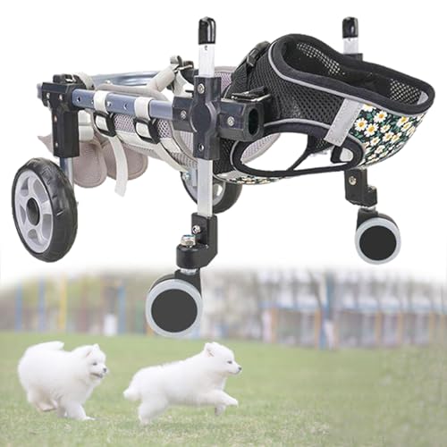 Fauteuil roulant pour chien et animaux : retrouvez les joies de la promenade en forêt