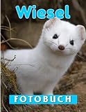 Independently published