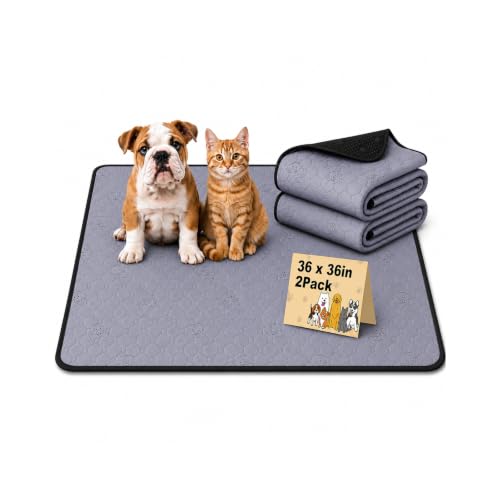 Image of Washable Pee Pads for Dogs 2 Pack, Reusable Waterproof Leak-Proof Puppy Training Pads, Super Absorbent Non-Slip Dog Whelping Pads for Crate, Playpen, Bed & Floor (36 inchx36 inch Gray)