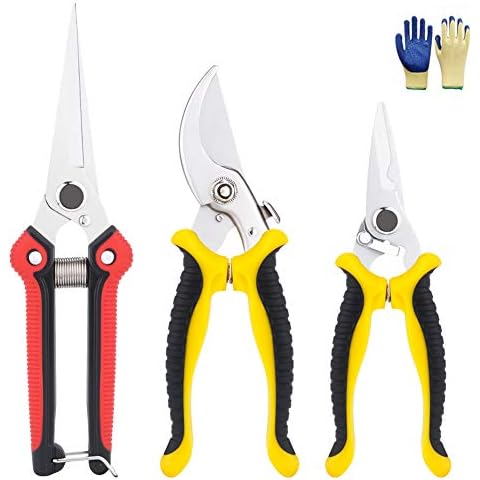 Garden Secateurs, GEEDIAR Stainless Steel Pruning Shears, Pruning Scissors Gardening, Garden Shears Set for Fruit Branch, Hedge, Fruits & Vegetables, Plants(with Non-Slip Gloves) Cover